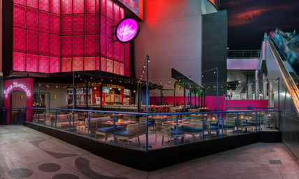 Rose Gold Package: Unlimited Mimosa Brunch, Pool Party + Transport  image 9