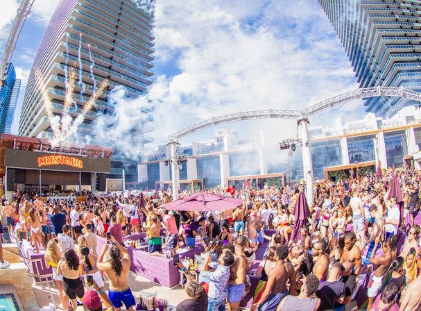 Rose Gold Package: Unlimited Mimosa Brunch, Pool Party + Transport  image 14