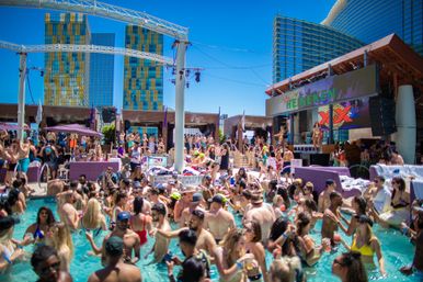 Rose Gold Package: Unlimited Mimosa Brunch, Pool Party + Transport  image 4