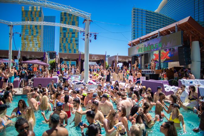 Rose Gold Package: Unlimited Mimosa Brunch, Pool Party + Transport  image 4