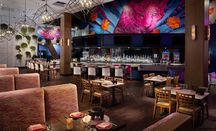 Rose Gold Package: Unlimited Mimosa Brunch, Pool Party + Transport  image 10