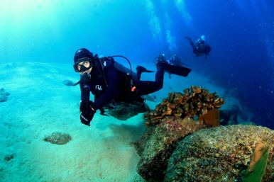 Two-Tank Dive at Cabo's Famous Arch for Certified Divers image 16