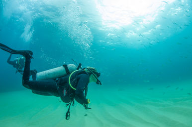 Two-Tank Dive at Cabo's Famous Arch for Certified Divers image 10