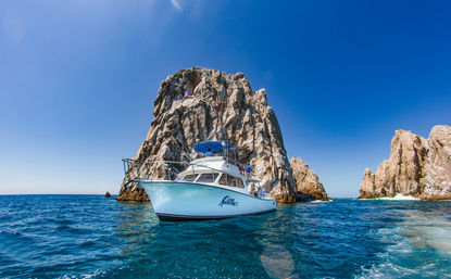 Two-Tank Dive at Cabo's Famous Arch for Certified Divers image 15