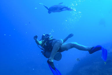 Two-Tank Dive at Cabo's Famous Arch for Certified Divers image 13