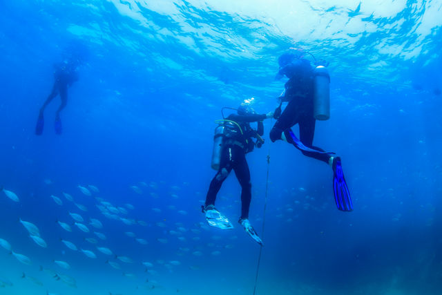 Two-Tank Dive at Cabo's Famous Arch for Certified Divers image 4