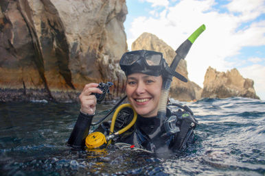 Two-Tank Dive at Cabo's Famous Arch for Certified Divers image 17