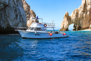 Two-Tank Dive at Cabo's Famous Arch for Certified Divers image 1