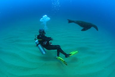 Two-Tank Dive at Cabo's Famous Arch for Certified Divers image 9