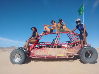 Sand Buggy Adventures in Mojave Desert with Roundtrip Shuttle (Guided & Free-Roaming Tours Available) image 2