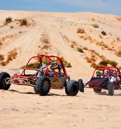 Sand Buggy Adventures in Mojave Desert with Roundtrip Shuttle (Guided & Free-Roaming Tours Available) image 9