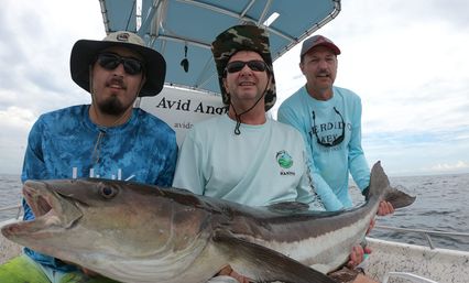 Half-Day Fishing Cruise Excursion with Wildlife: Redfish, Sharks, Amberjack, Seabass and More image 6