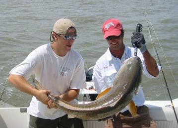 Half-Day Fishing Cruise Excursion with Wildlife: Redfish, Sharks, Amberjack, Seabass and More image 8