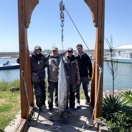 Half-Day Fishing Cruise Excursion with Wildlife: Redfish, Sharks, Amberjack, Seabass and More image 7