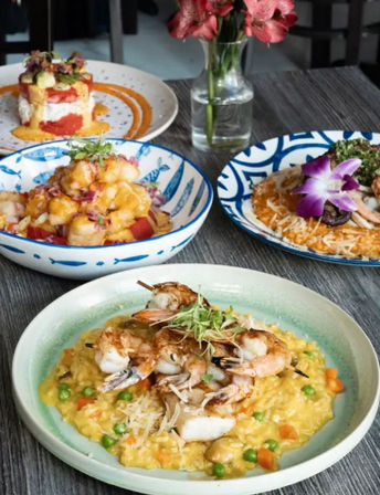 305 Peruvian Modern Cuisine in Brickell, Miami image 1
