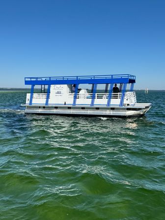 3-Hour Shared Crab Island & Harbor Cruise Adventure image 11