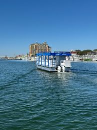 3-Hour Shared Crab Island & Harbor Cruise Adventure image 10