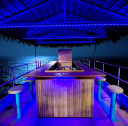 Charleston Brew Barge: Tiki-Style Party Boat image 5