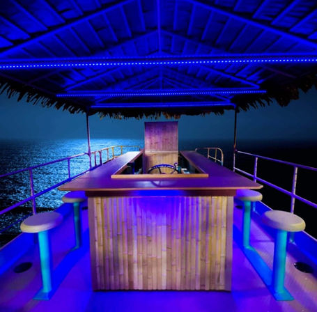 Charleston Brew Barge: Tiki-Style Party Boat image 5