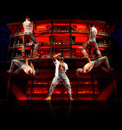 Magic Mike Live Las Vegas: First Class Entertainment for your Party image 5