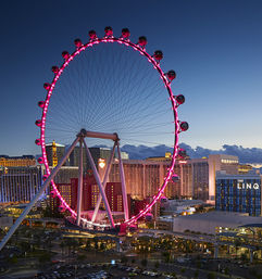 High Roller Observation Wheel: Open Bar, Great for Groups, Instagram Views image 6