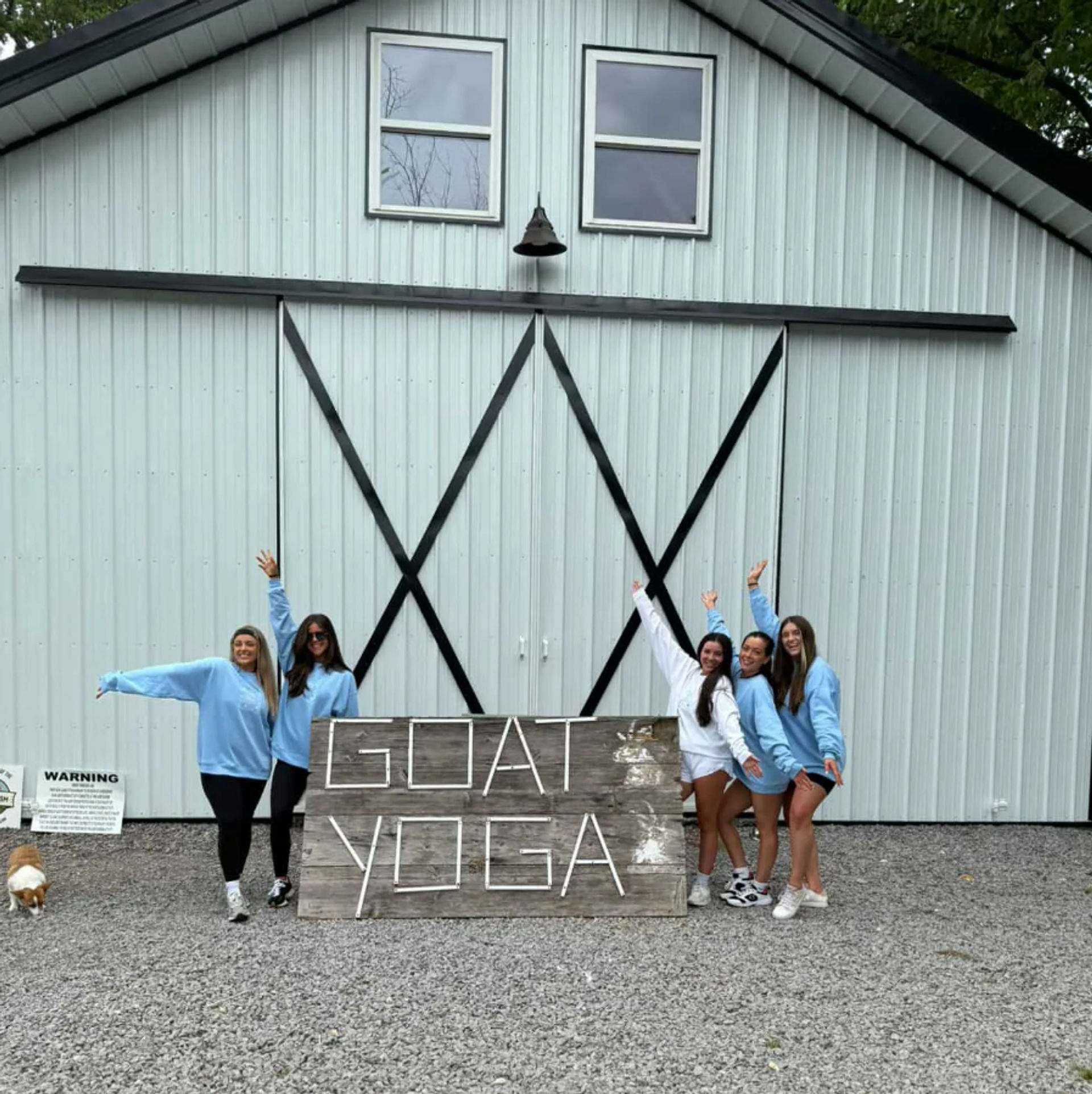 Private Goat Yoga Experience: Beginner-Friendly with Endless Photo Ops for Your Group image 1