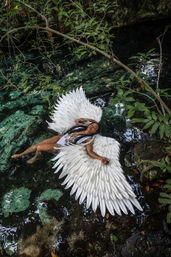 Unique Underwater Cenote Photoshoot with Flying Dress Option image 16