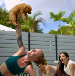 Puppy Yoga Experience at Your Vacation Rental image 4