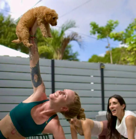 Mobile Puppy Yoga Experience at Location of Your Choice image 4