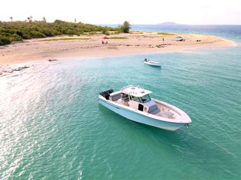  Private Puerto Rico Boat & Yacht Party to Icacos or Palomino: Captain, Crew and Drinks Included! image 5