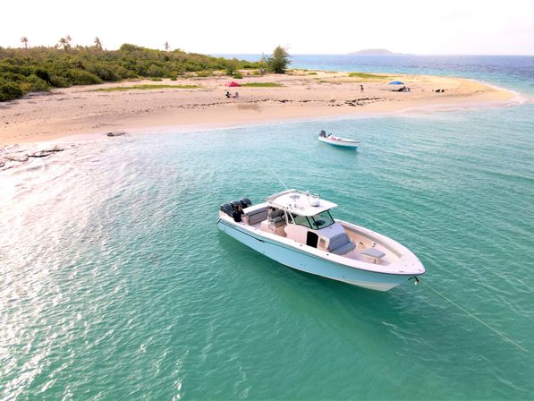  Private Puerto Rico Boat & Yacht Party to Icacos or Palomino: Captain, Crew and Drinks Included! image 5