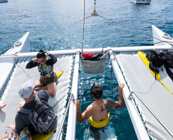 Turtle Canyon Snorkel Adventure: Swim with Sea Turtles in Hawaii with Your Crew image 7