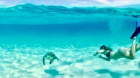 Turtle Canyon Snorkel Adventure: Swim with Sea Turtles in Hawaii with Your Crew image 13