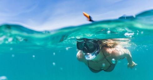 Turtle Canyon Snorkel Adventure: Swim with Sea Turtles in Hawaii with Your Crew image 10