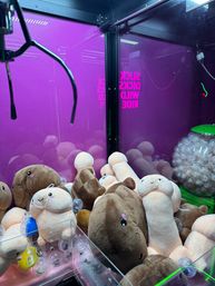 World’s Only Dick Arcade: Austin’s Dirtiest Interactive Experience with Mechanical Penis Ride and BYOB image 23