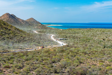 Snorkel at the Famous Cabo Pulmo Reef (Up to 8 People) image 13