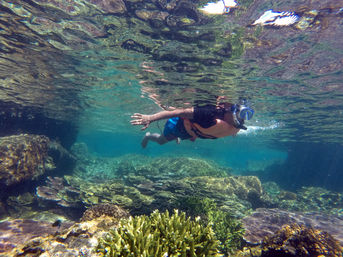 Snorkel at the Famous Cabo Pulmo Reef (Up to 8 People) image 5