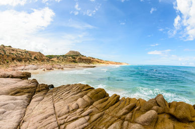 Snorkel at the Famous Cabo Pulmo Reef (Up to 8 People) image 10