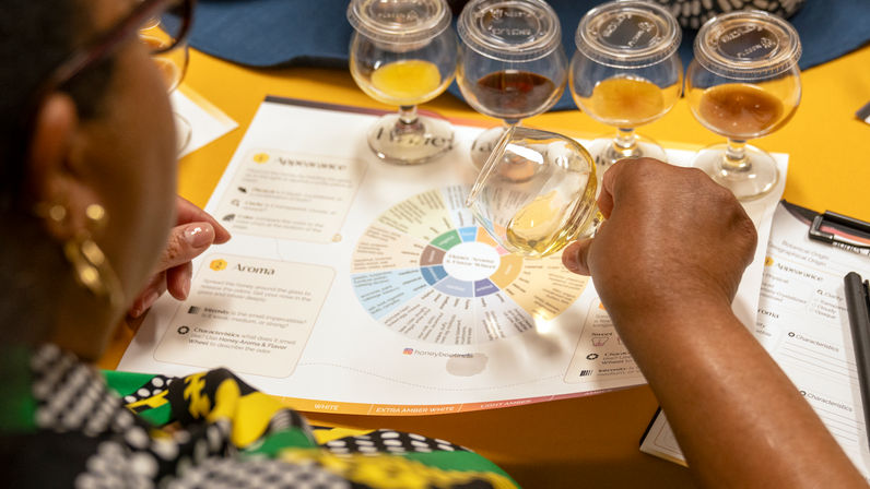 Honey & Bites: Private Honey Sommelier Pairing image 4