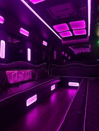 Scottsdale Party Bus: Luxury Party Transportation image 8