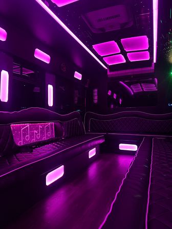 Scottsdale Party Bus: Luxury Party Transportation image 7