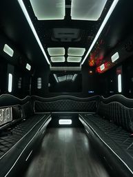 Scottsdale Party Bus: Luxury Party Transportation image 6