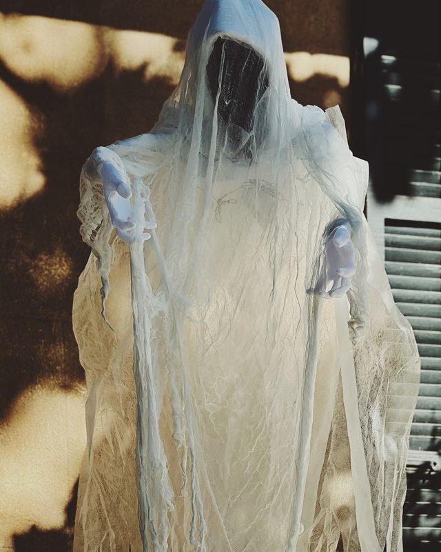 Skeletons in the Closet: Charleston's Haunting History image 3