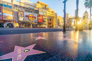 Hollywood Bus Tour: Sightseeing & Celebrity Homes Tour image 10