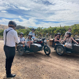 Grapevine Getaway: Exclusive 5-Hour Sidecar Wine Tour image 5