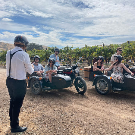 Grapevine Getaway: Exclusive 5-Hour Sidecar Wine Tour image 5