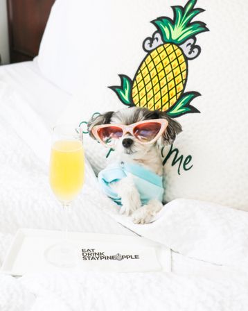 Staypineapple: Iconic Boutique Hotel in The Loop image 16
