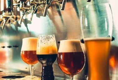 Napa Native Craft Brew Tour image 3