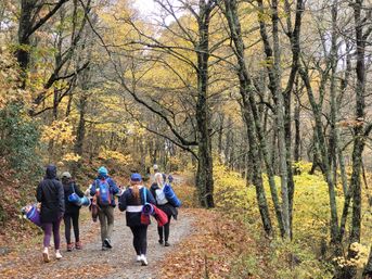 Mountaintop Yoga Hiking Adventure image 14