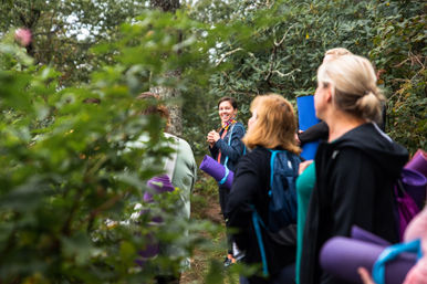 Mountaintop Yoga Hiking Adventure image 15